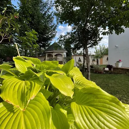 In Sabb For Rent * Szarajevó