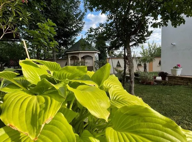 In Sabb For Rent * Sarajevo