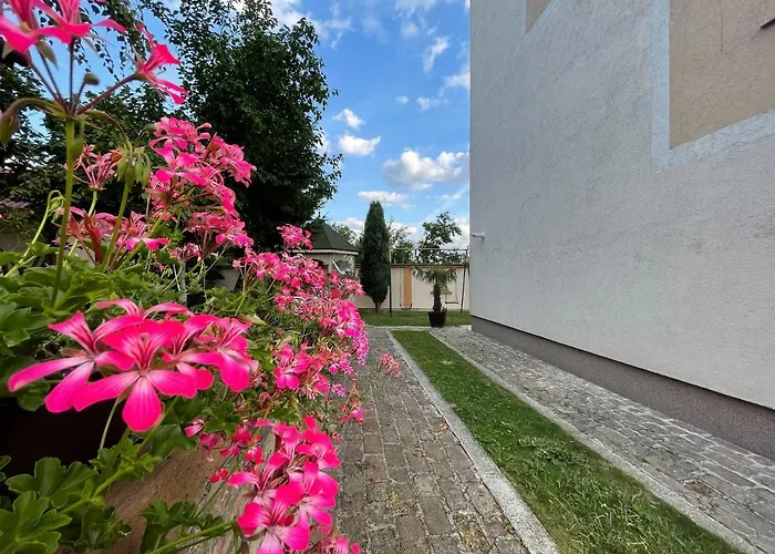 Apartman In Sabb For Rent *